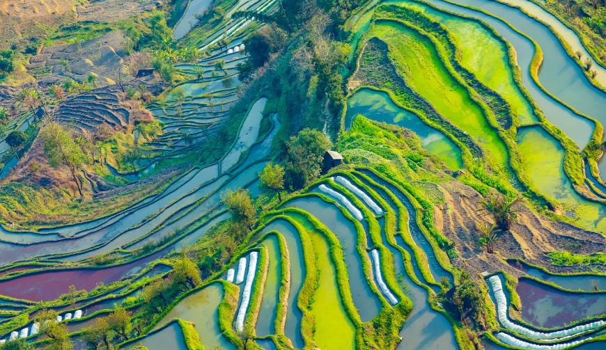 宝妈必备神器：郾城区产品视频拍摄轻松育儿好帮手