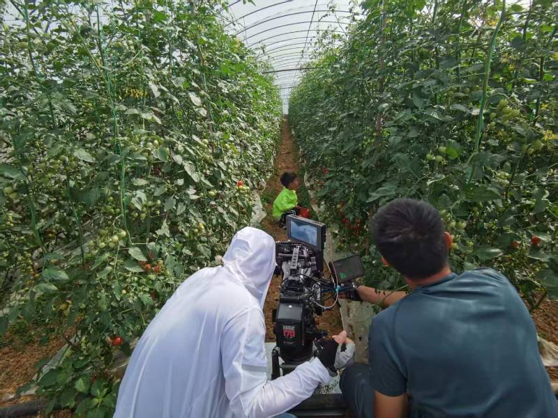 郾城区产品宣传视频拍摄公司进阶指南，助力品牌抢占传播高地